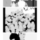Image: Koyama Press